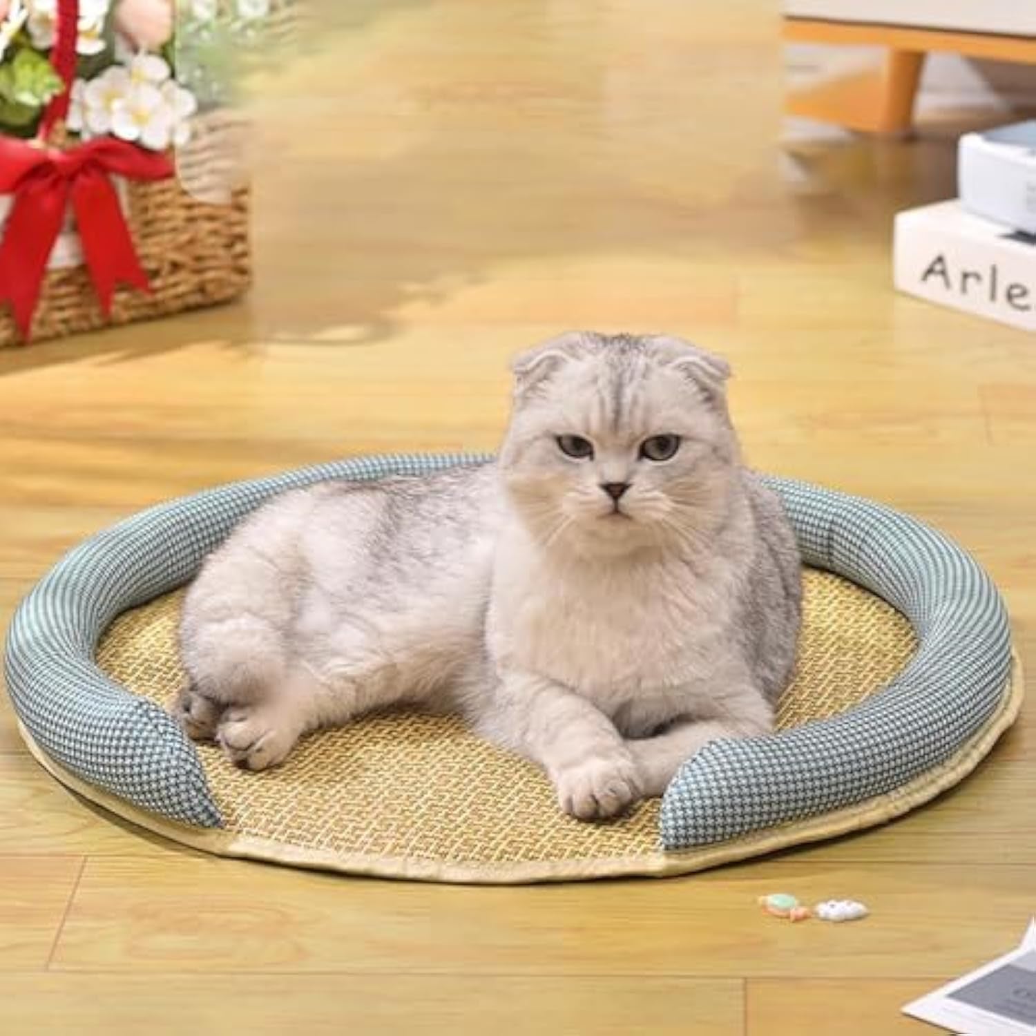 Cooling Mat for Cats - Rattan Pet Bed with Breathable Cushion and Summer Mattress